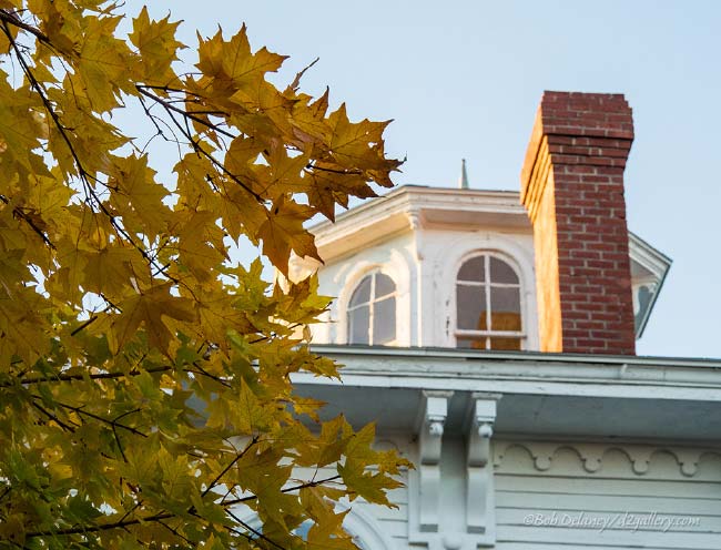 Autumn Foliage and 317 Main Cupola